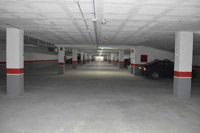 Piscina: Rodeada por zona de césped