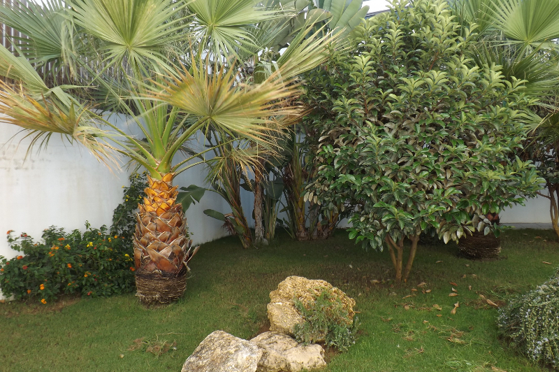 Urbanización: Jardinería muy cuidada